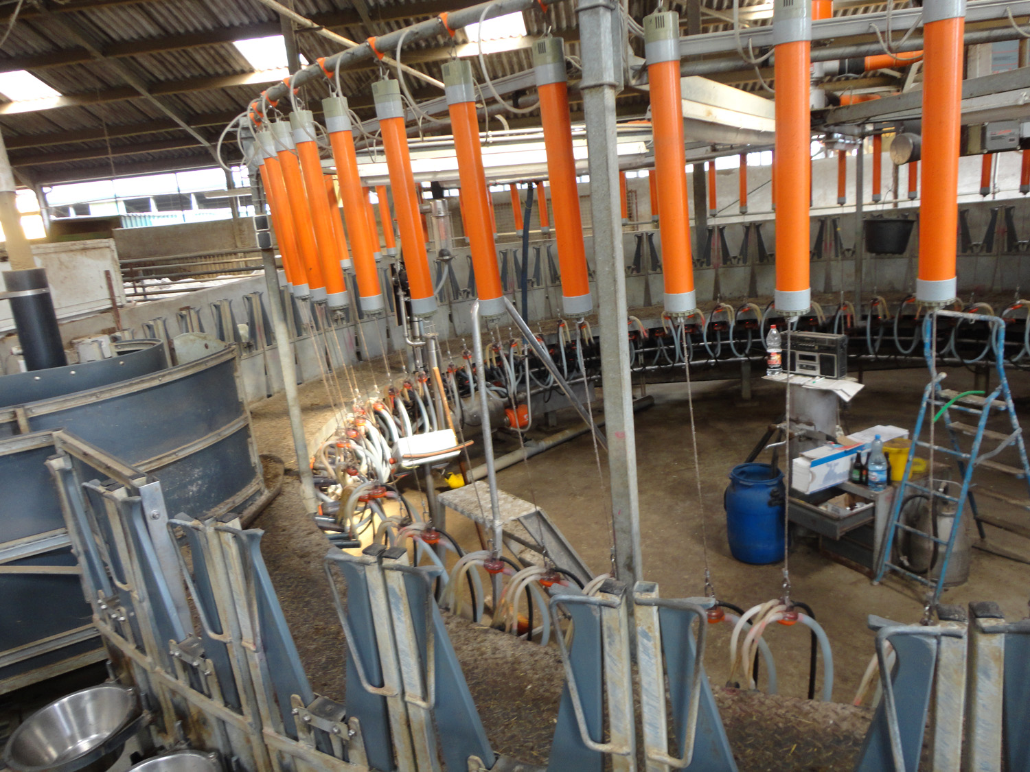 5l Elektrische Melkmachine Vacuümimpulspomp Voor Schapen, Geiten En Koeien Melken